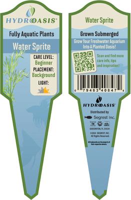 Show full view: HydrOasis Water Sprite Submerged Potted Reg Fish Plant, 3 count slide 4 of 5