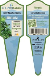 HydrOasis Wisteria Submerged Potted Reg Fish Plant slide 2 of 3