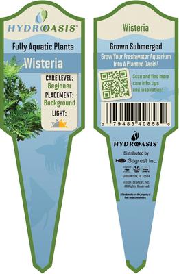 Show full view: HydrOasis Wisteria Submerged Potted Reg Fish Plant slide 3 of 4