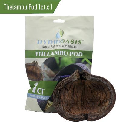 Show full view: HydrOasis Starter Bundle Fish Plant slide 7 of 8