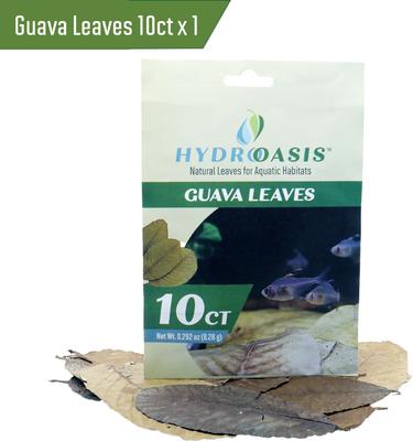 Show full view: HydrOasis Dwarf Shrimp Bundle Fish Plant slide 3 of 9