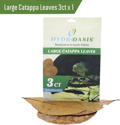 Show full view: HydrOasis Jungle Water Bundle Fish Plant slide 5 of 9