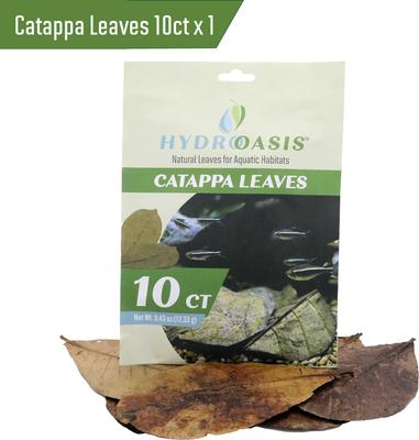 Show full view: HydrOasis Jungle Water Bundle Fish Plant slide 2 of 9