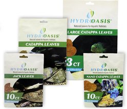 HydrOasis Jungle Water Bundle Fish Plant