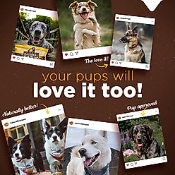 Natural Farm X-Large Himalayan Cheese Hard Dog Chew slide 2 of 6