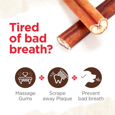 Show full view: Natural Farm 6-inch Odor Free Bully Stick Dog Chew slide 3 of 6