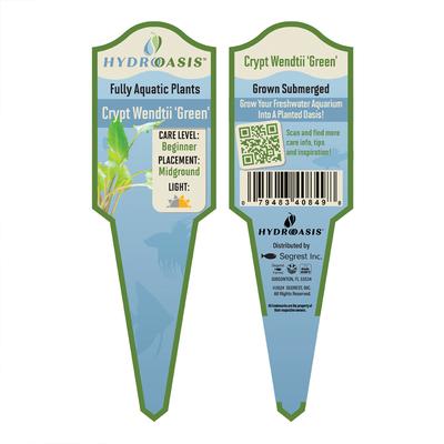 Show full view: HydrOasis Crypt Wendtii 'Green' Submerged Potted Reg Fish Plant slide 3 of 4