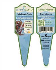 HydrOasis Ludwigia Peruensis Submerged Potted Reg Fish Plant slide 2 of 3