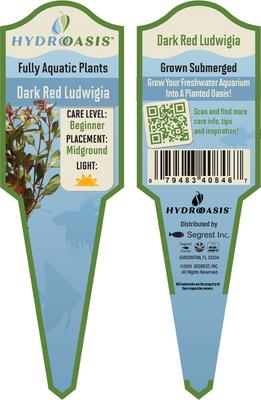 Show full view: HydrOasis Dark Red Ludwigia Submerged Potted Reg Fish Plant, 3 count slide 4 of 5