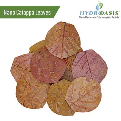 Show full view: HydrOasis Dwarf Shrimp Bundle Fish Plant slide 9 of 9