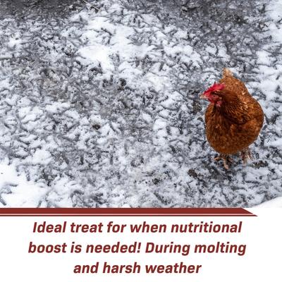 Show full view: Exotic Nutrition Grub-Worms Chicken Feed, 20-lb bag slide 7 of 9