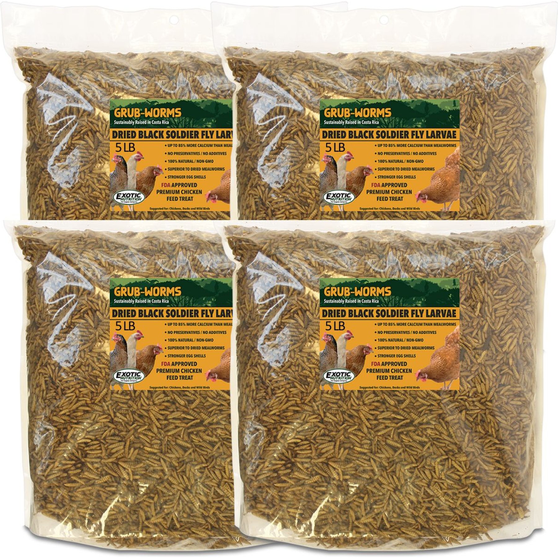 Exotic Nutrition Grub-Worms Chicken Feed, 20-lb bag