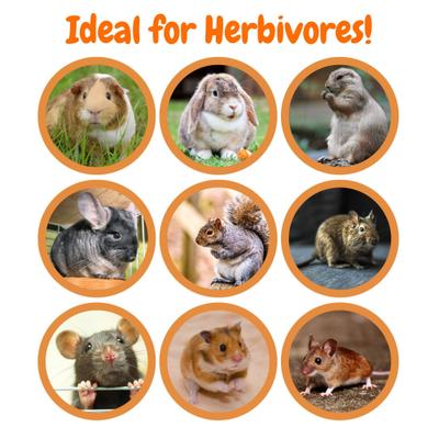 Show full view: Exotic Nutrition Crunchy Swirls Small Pet Chew Toy, 4.7-oz bag slide 7 of 9