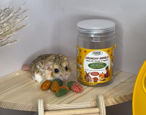 Show full view: Exotic Nutrition Crunchy Swirls Small Pet Chew Toy, 4.7-oz bag slide 4 of 9