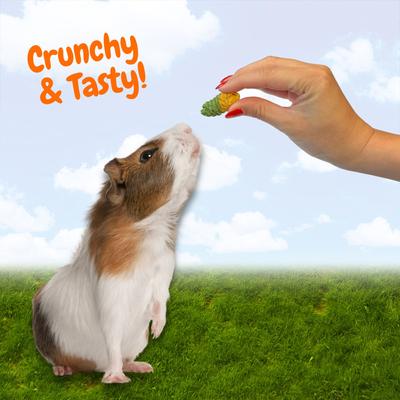 Show full view: Exotic Nutrition Crunchy Swirls Small Pet Chew Toy, 4.7-oz bag slide 3 of 9