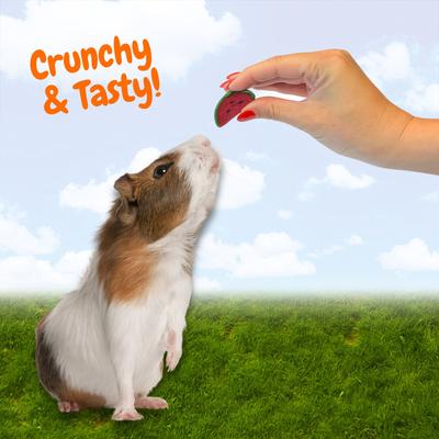 Show full view: Exotic Nutrition Watermelon Wedges Small Pet Chew Toy, 4.7-oz bag slide 6 of 8