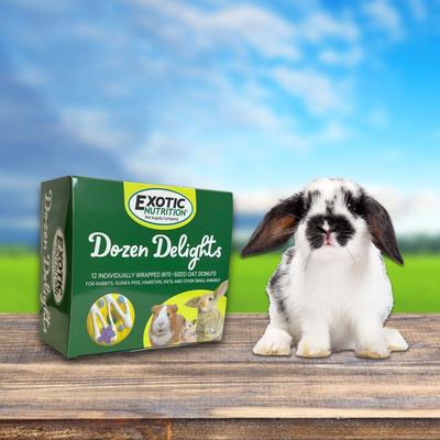 Show full view: Exotic Nutrition Dozen Delights Oatmeal Donuts Small Pet Treat slide 9 of 10