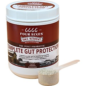 6666 Complete Gut Protection Vanilla Powder Horse Supplement, 2-lb tub