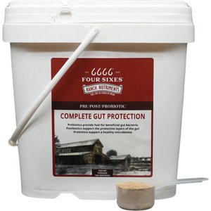 6666 Complete Gut Protection Vanilla Powder Horse Supplement
