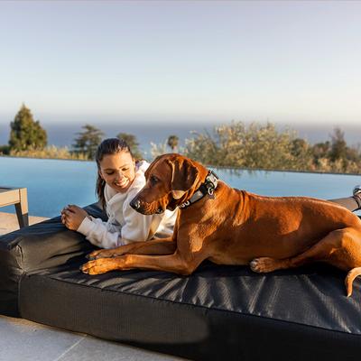 Show full view: K9 Ballistics Tough Ripstop Orthopedic Bolster Dog Bed, Tan, XX-Large slide 4 of 6