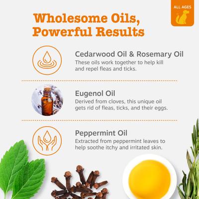 Show full view: Zesty Paws Flea & Tick Veterinary Formulated Soothing Spray, 16-fl oz bottle + Soothing Deodorizing Shampoo for Dogs, 16-fl oz bottle slide 3 of 10