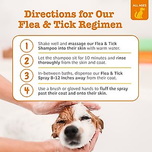 Zesty Paws Flea & Tick Veterinary Formulated Soothing Deodorizing Shampoo for Dogs, 16-fl oz bottle