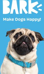 BARK Bright Durable Dental Kit: Large Mint Flavored Dental Dog Treats + Chicken & Thyme Flavored Dog Dental Gel, 1 count, sample gel slide 2 of 7