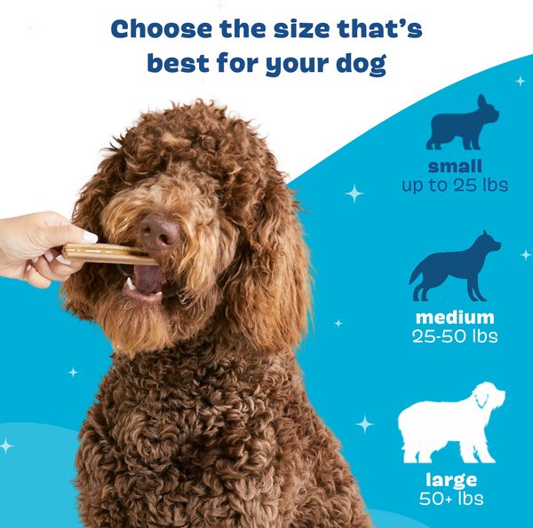 Show full view: BARK Bright Dental Kit: Large Chicken Flavored Dental Dog Treats + Chicken & Thyme Flavored Dog Dental Gel, 1 count, sample gel slide 5 of 9