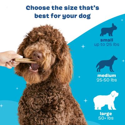 Show full view: BARK Bright Dental Kit: Large Chicken Flavored Dental Dog Treats + Chicken & Thyme Flavored Dog Dental Gel, 1 count, sample gel slide 5 of 9