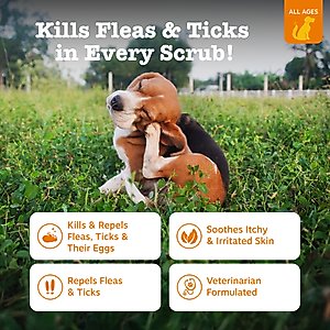 Zesty Paws Flea & Tick Veterinary Formulated Soothing Deodorizing Shampoo for Dogs, 16-fl oz bottle