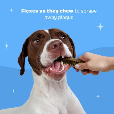 Show full view: BARK Bright Durable Dental Kit: Medium Mint Flavored Dental Dog Treats + Chicken & Thyme Flavored Dog Dental Gel, 1 count, sample gel slide 6 of 9