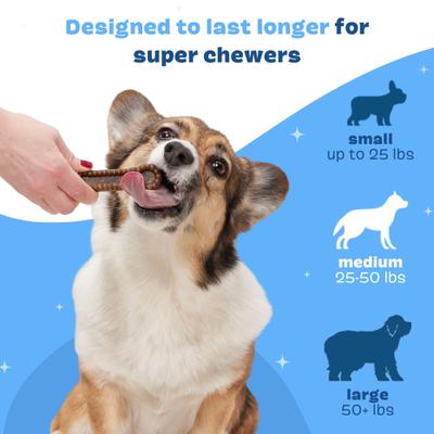 Show full view: BARK Bright Durable Dental Kit: Medium Mint Flavored Dental Dog Treats + Chicken & Thyme Flavored Dog Dental Gel, 1 count, sample gel slide 5 of 9