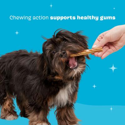 Show full view: BARK Bright Dental Kit: Medium Chicken Flavored Dental Dog Treats + Chicken & Thyme Flavored Dog Dental Gel, 1 count, sample gel slide 6 of 8