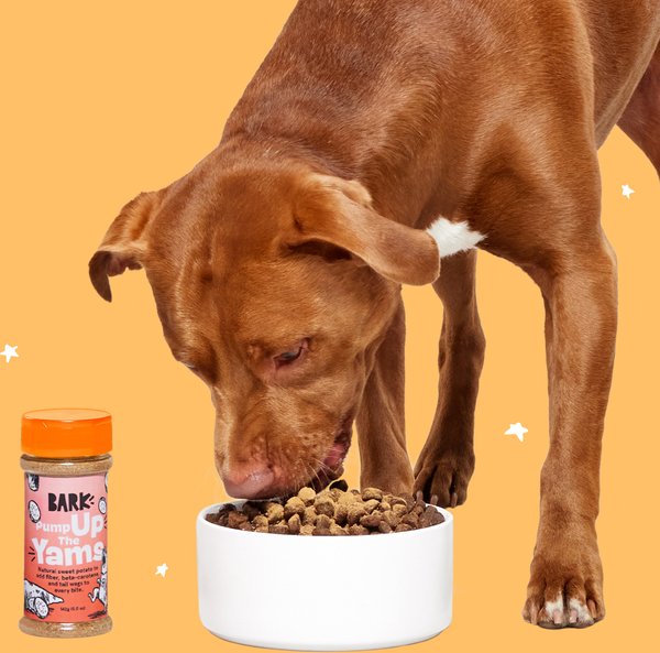BARK Pump Up the Yams Limited Ingredient Diet Dehydrated Dog Food Topper, 5-oz jar