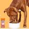 Show in main carousel: BARK Pump Up the Yams Limited Ingredient Diet Dehydrated Dog Food Topper, 5-oz jar slide 7 of 9