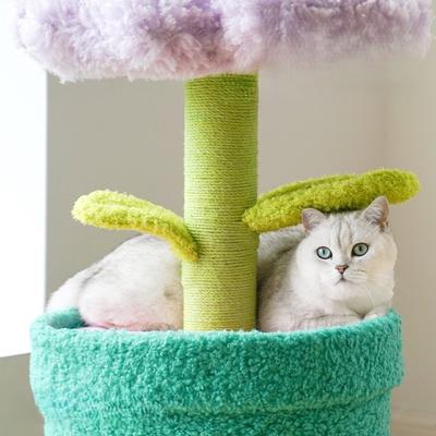 Show full view: ZEZE Upward Bloom Bed & Cozy Hideaway Cat House, Purple/Green slide 3 of 5