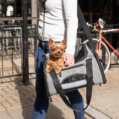 Show full view: Bergan Booster Airline Approved Bag Dog Carrier, Heather Grey, 10.5 x 15.75 x 12-in slide 5 of 7