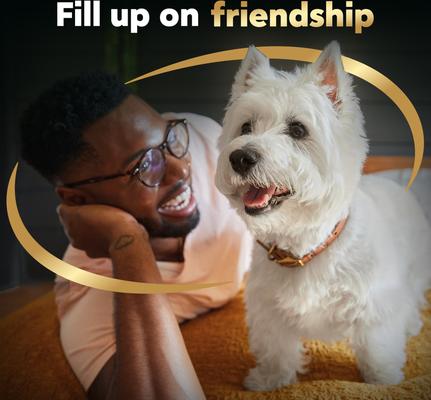 Show full view: Cesar Wholesome Meals Beef, Chicken, Carrots, Barley & Green Beans Recipe Wet Dog Food, 17.6-oz pouch slide 10 of 11