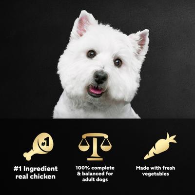 Show full view: Cesar Wholesome Meals Beef, Chicken, Carrots, Barley & Green Beans Recipe Wet Dog Food, 17.6-oz pouch, case of 12 slide 5 of 11