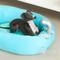 Show in main carousel: ZEZE Submarine Cool Sensation Bolster Dog Bed, Blue, Large slide 6 of 10