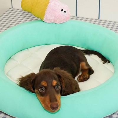Show full view: ZEZE Melon Ice Smoothie Cooling Dog Bed, Tiffany Blue, Medium slide 3 of 7