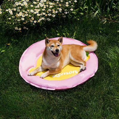 Show full view: ZEZE Lemon Cooling Dog Bed, Pink/Yellow, Medium slide 4 of 6