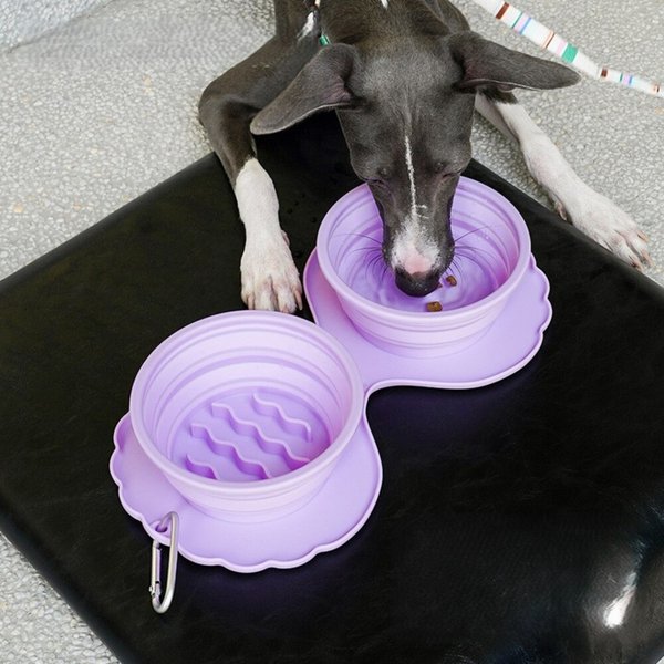 Show full view: ZEZE Collapsible Silicone Dog Bowl, Purple, 3-cup slide 5 of 7