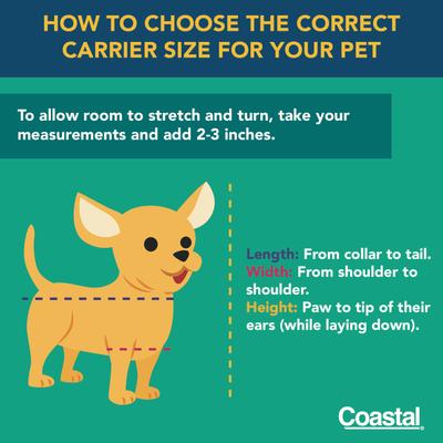 Show full view: Bergan Rolling Airline Approved Bag Dog Carrier, Heather Grey, 11.5 x 11.75 x 18.5-in slide 9 of 9