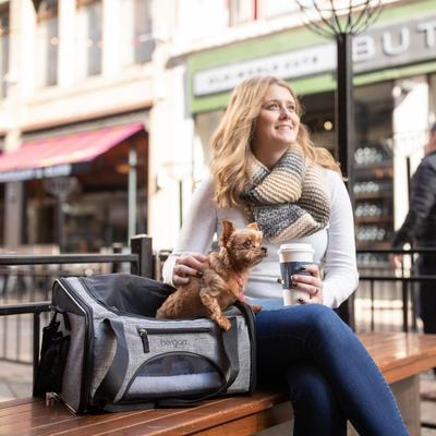 Show full view: Bergan Booster Airline Approved Bag Dog Carrier, Heather Grey, 10.5 x 15.75 x 12-in slide 3 of 7