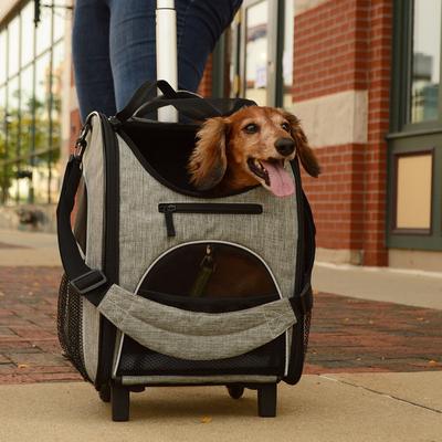 Show full view: Bergan Rolling Airline Approved Bag Dog Carrier, Heather Grey, 11.5 x 11.75 x 18.5-in slide 2 of 9