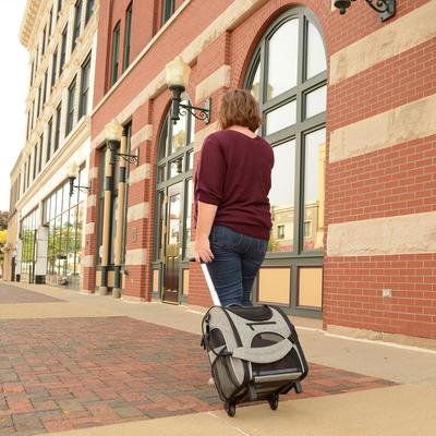 Show full view: Bergan Rolling Airline Approved Bag Dog Carrier, Heather Grey, 11.5 x 11.75 x 18.5-in slide 3 of 9