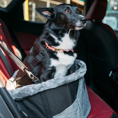 Show full view: Bergan Comfort Hanging Dog Car Booster Seat, Black, 15 x 15 x 9.5-in slide 4 of 6