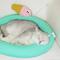 Show in main carousel: ZEZE Melon Ice Smoothie Cooling Dog Bed, Tiffany Blue, Medium slide 4 of 7