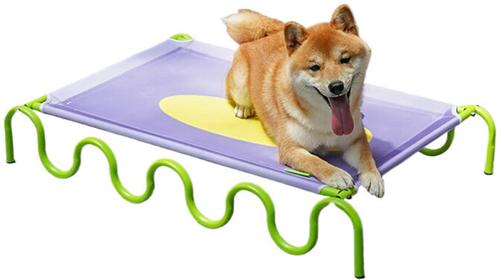 Show full view: ZEZE Wavy Army Elevated Dog Bed, Medium, Purple/Yellow slide 4 of 11